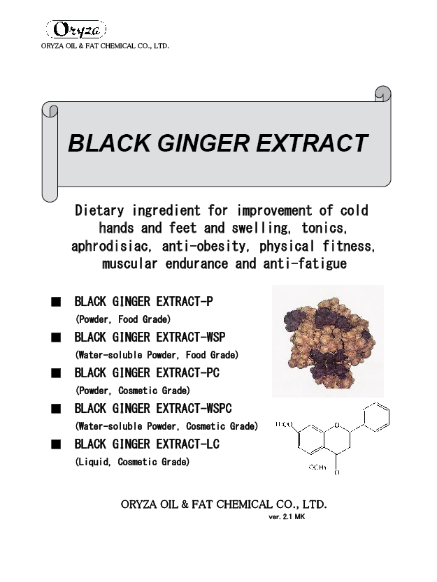 240901 RESEARCH BLACK GINGER-01