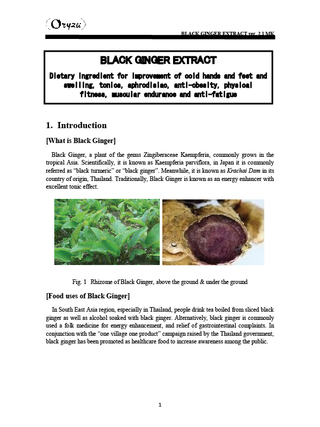 240901 RESEARCH BLACK GINGER-02