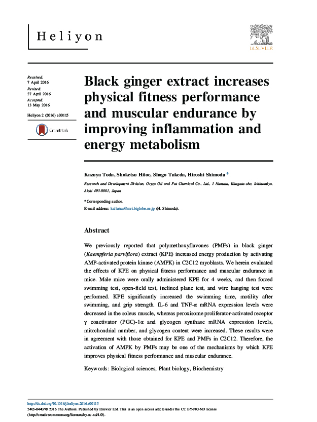 240901 RESEARCH BLACK GINGER-04